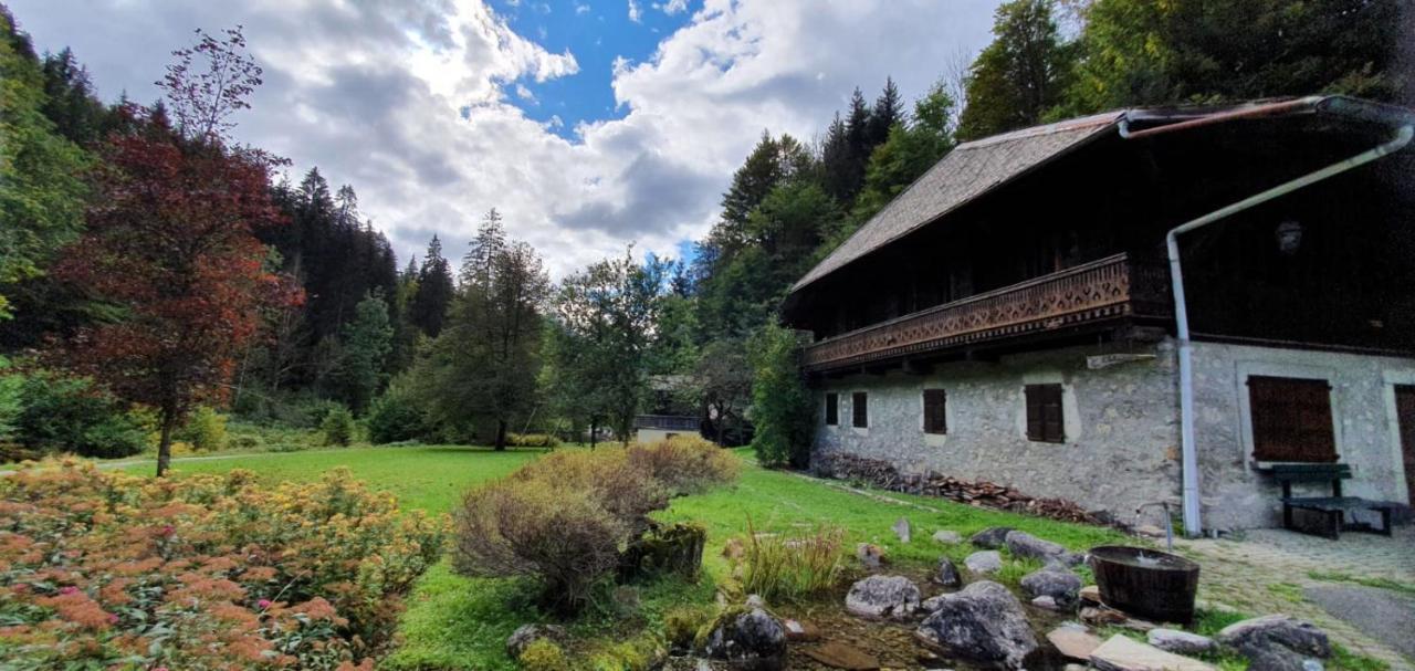 Appartement-3-Chambres-8-Couchages-Wifi-Montriond-Chebourins Экстерьер фото
